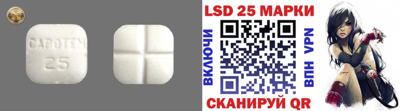 ссылка на мегу вход  Каменногорск  LSD-25 экстази ecstasy 